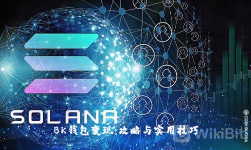 BK钱包变现:攻略与实用技巧