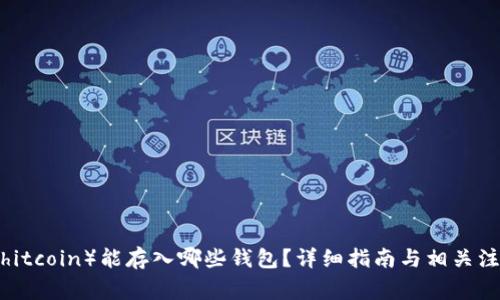 屎币(Shitcoin)能存入哪些钱包?详细指南与相关注意事项