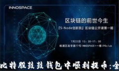 如何在比特股鼓鼓钱包中顺利提币:全面指南