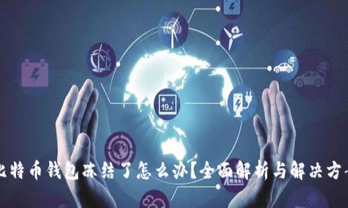 比特币钱包冻结了怎么办?全面解析与解决方案