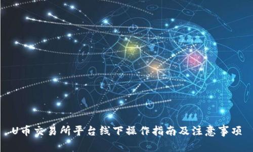 U币交易所平台线下操作指南及注意事项