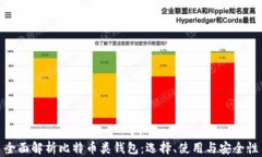 全面解析比特币类钱包:选择、使用与安全性