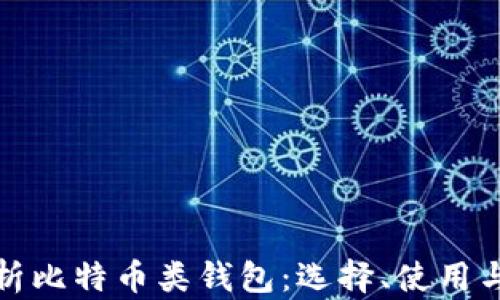 全面解析比特币类钱包:选择、使用与安全性