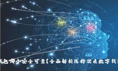 虚拟币钱包哪个安全可靠?全面解析选择优质数字钱包的方法