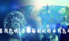 玩比特币需要钱包吗?全面解析比特币钱包的类