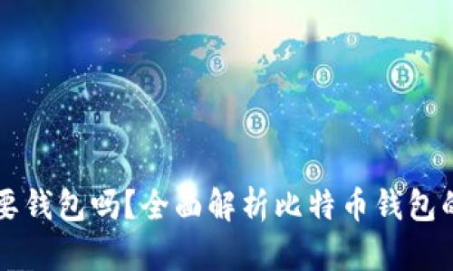 玩比特币需要钱包吗?全面解析比特币钱包的类型与使用