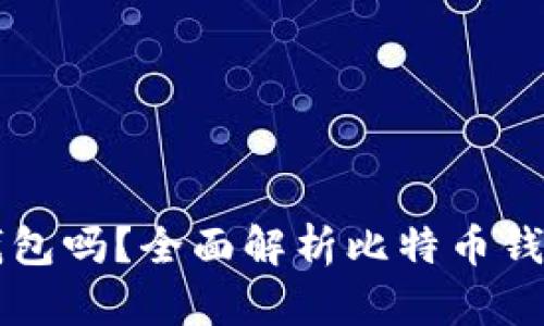 玩比特币需要钱包吗?全面解析比特币钱包的类型与使用