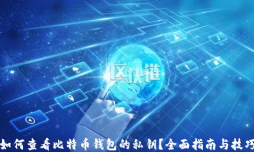 如何查看比特币钱包的私钥?全面指南与技巧