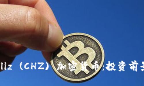 全面解析Chiliz (CHZ) 加密货币:投资前景与市场分析