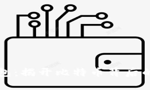 中本聪钱包:揭开比特币背后的神秘面纱