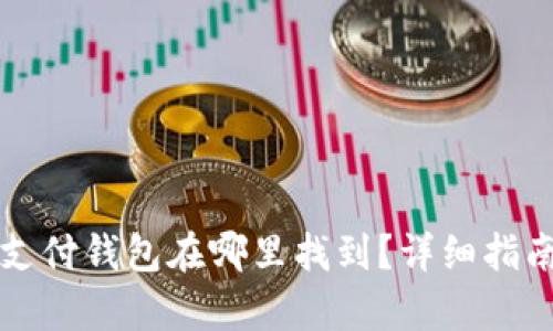 泰达币支付钱包在哪里找到?详细指南与推荐