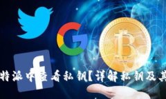 如何在比特派中查看私钥?详解私钥及其保护方