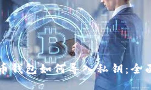 比特币钱包如何导入私钥:全面指南