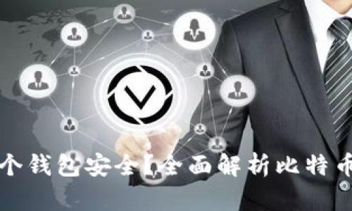 比特币存在哪个钱包安全?全面解析比特币钱包的安全性