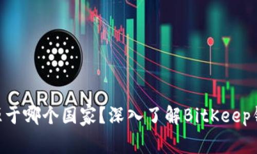 BitKeep钱包来源于哪个国家?深入了解BitKeep钱包的背景及功能