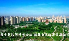 比特币钱包的修剪方法:提升交易效率与存储空