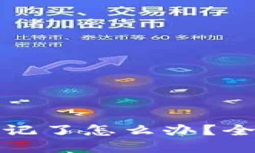 派币钱包助记词忘记了怎么办?全面指南与解决方案