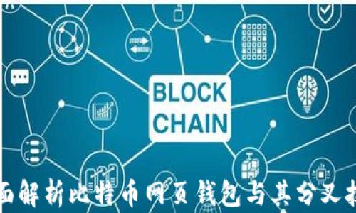 全面解析比特币网页钱包与其分叉技术