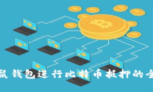 使用袋鼠钱包进行比特币抵押的全面指南