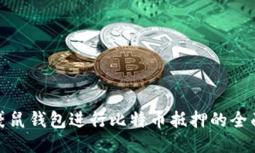 使用袋鼠钱包进行比特币抵押的全面指南