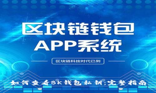 如何查看BK钱包私钥:完整指南