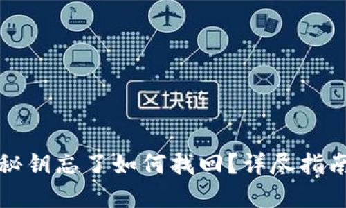 狗狗币钱包秘钥忘了如何找回?详尽指南与解决方案