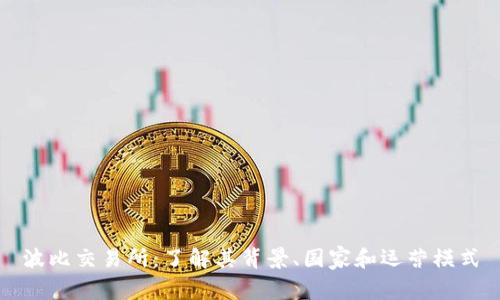 波比交易所:了解其背景、国家和运营模式