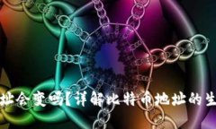 比特币钱包地址会变吗?详解比特币地址的生成