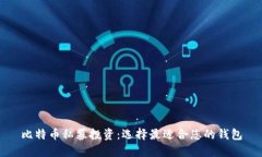 比特币私募投资:选择最适合您的钱包