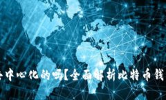 比特币钱包是去中心化的吗?全面解析比特币钱