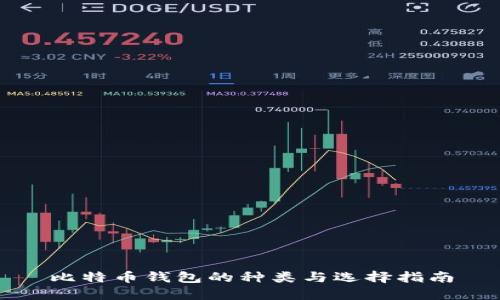 比特币钱包的种类与选择指南