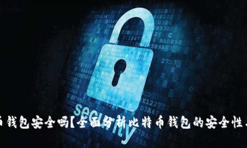 比特币钱包安全吗?全面分析比特币钱包的安全性与风险