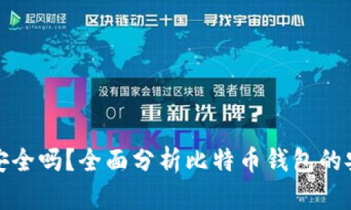 比特币钱包安全吗?全面分析比特币钱包的安全性与风险