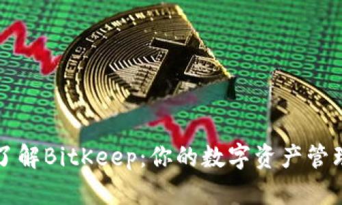 深入了解BitKeep:你的数字资产管理工具