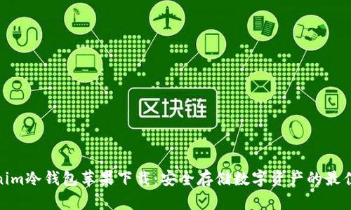 Tokenim冷钱包苹果下载:安全存储数字资产的最佳选择