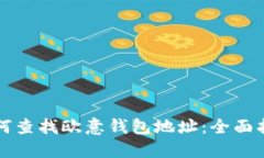 如何查找欧意钱包地址:全面指南