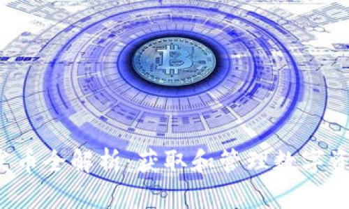 Bitkeep钱包发币全解析:获取和管理数字资产的最佳选择