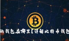 一般存比特币的钱包在哪里?详解比特币钱包的