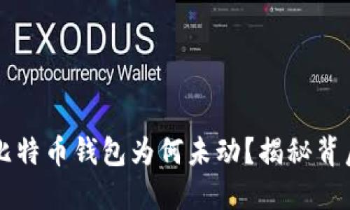中本聪比特币钱包为何未动?揭秘背后的秘密