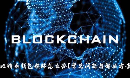 比特币钱包损坏怎么办?常见问题与解决方案