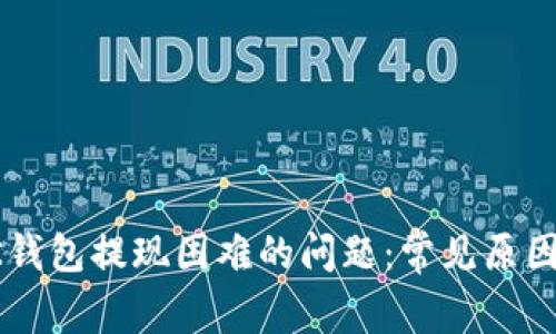 如何解决BK钱包提现困难的问题:常见原因及解决方案