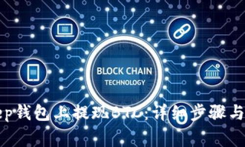 如何在Bitkeep钱包上提现BTC:详细步骤与常见问题解析