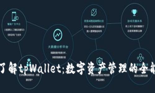 全面了解tpWallet:数字资产管理的全能工具