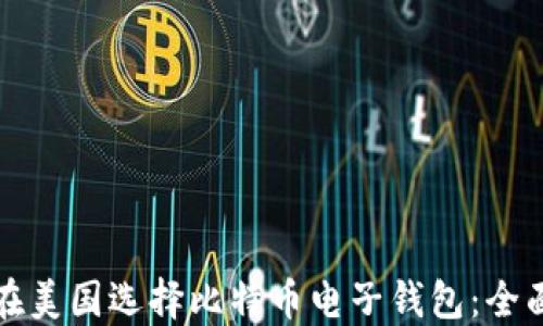 如何在美国选择比特币电子钱包:全面指南