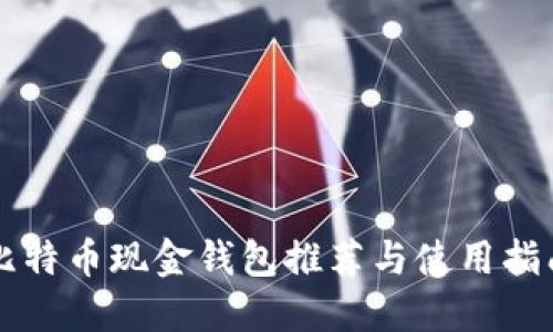 比特币现金钱包推荐与使用指南