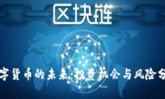 数字货币的未来：投资机会与风险分析