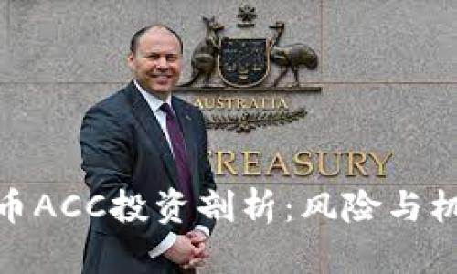 数字货币ACC投资剖析:风险与机遇并存