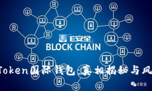 Plus Token国际钱包：真相揭秘与风险分析