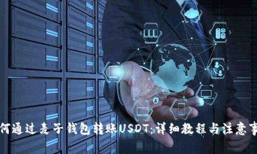 如何通过麦子钱包转账USDT：详细教程与注意事项