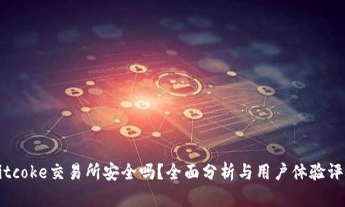 Bitcoke交易所安全吗？全面分析与用户体验评估